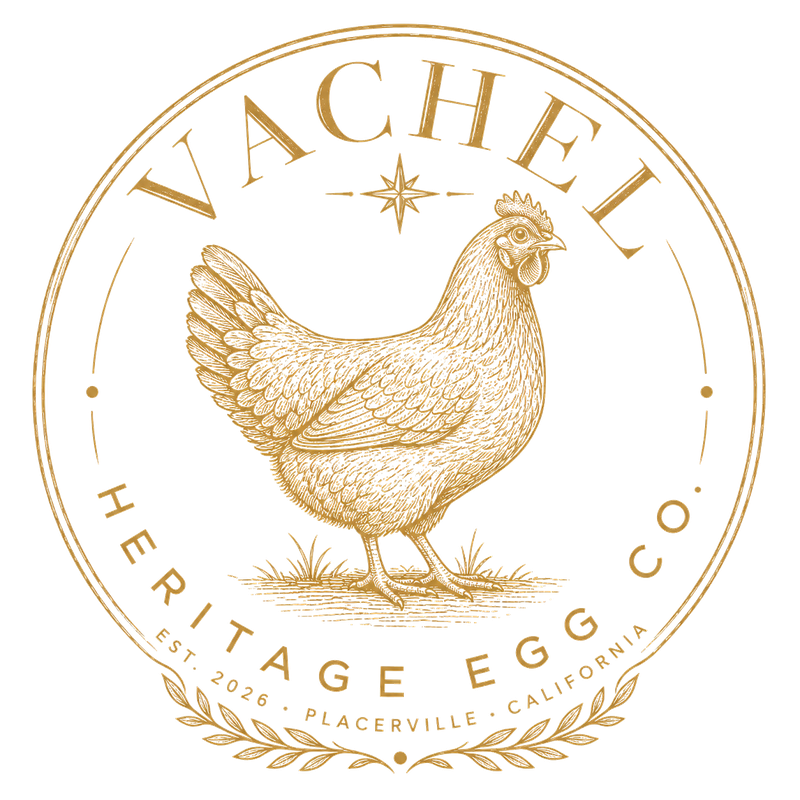 Vachel Heritage Egg Co.
